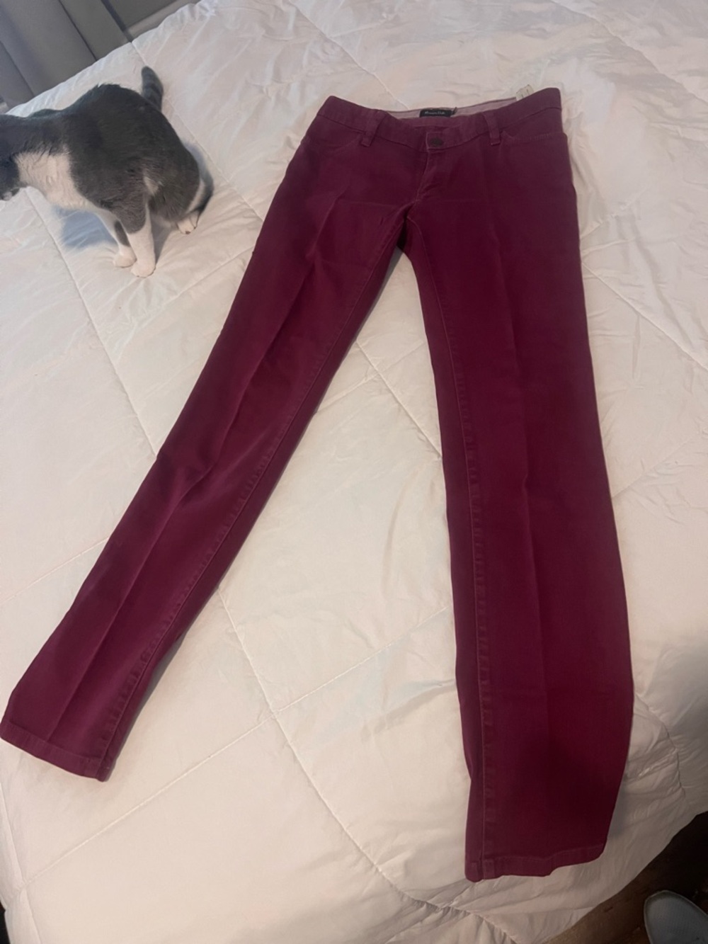 || MASSIMO DUTTI FUCSIA JEANS ||